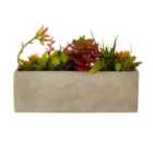 Premier Housewares Mixed Faux Succulents in Cement Pot