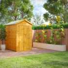 Power Apex 6' x 4' Windowless Garden Shed