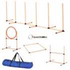 PawHut Pet Agility Training Equipment Kit