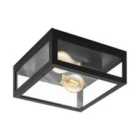 Eglo Almonte 1 Ceiling & Exterior Wall Light - Black