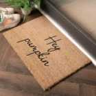 Hey Pumpkin Doormat