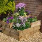 Forest Garden Caledonian Tiered Raised Bed