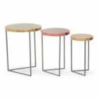 Interiors By Ph Set Of 3 Tables Matt Gold/Grey