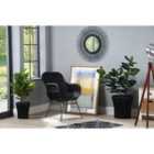Desser Porto Rattan Occasional Chair In Black