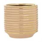 Interiors By Ph Small Ceramic Planter Blush Gold Stripe