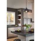 Urban Renewal 1 Light Pendant Antique Forged Iron