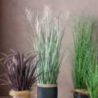 Crossland Grove Potted Grass W/9 Heads Green/Russet 1550Mm
