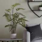 Crossland Grove Potted Fern In Cement Pot H1060Mm