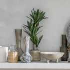 Crossland Grove Potted Yucca Green H650Mm