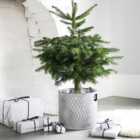 Ivyline Indoor Christmas Tree Bucket Zinc H28cm W28cm