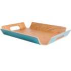 Botanicals Large Teal Willow Tray