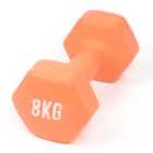 Myga Dumbbell - 8Kg Orange