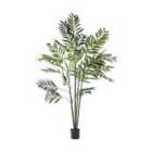 Crossland Grove Areca Palm Tree Large 960X960X1520Mm