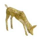 Light Up Reindeer Gold Grazing Doe - 61cm 120 Ice White LED