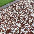 Mainland Aggregates 20mm Red And White Chippings