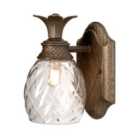 Hinkley Plantation 1 Light Wall Light - Pearl Bronze