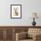 The Art Group Helen Ahpornsiri (Gazing Hare) 30x40cm Wall Art