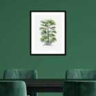 The Art Group Summer Thornton (Zebra Palm) 40x50cm Wall Art