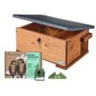 Green Feathers Hedgehog Box Camera Deluxe Bundle WiFi Connection