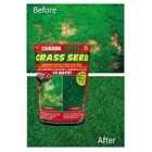Canada Green 500gm Grass Seed