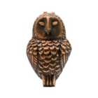 Ivyline Cast Iron Owl Door Knocker Antique Copper
