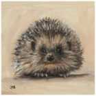 The Art Group Louise Brown (Spike) 30x30cm Canvas