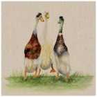 The Art Group Jane Bannon (Dilly, Roly & Henry) 40x40cm Canvas