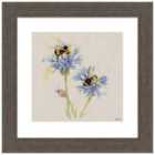 The Art Group Jane Bannon (Bees On Cornflowers) - 40x40cm Framed Art