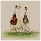 The Art Group Jane Bannon (Dilly, Roly & Henry) 30x30cm Canvas