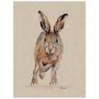 The Art Group Jane Bannon (Phoebe) 30x40cm Canvas