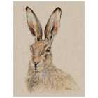 The Art Group Jane Bannon (Tilly) 30x40cm Canvas