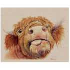 The Art Group Jane Bannon (Baxter) 40x50cm Canvas