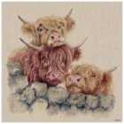 The Art Group Jane Bannon (Neighbourhood Watch) 40x40cm Canvas