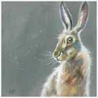 The Art Group Louise Brown (Herbert) 40x40cm Canvas