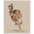 The Art Group Jane Bannon (Holly) 40x50cm Canvas