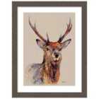 The Art Group Jane Bannon (Proudlock) - 60x80cm Framed Art
