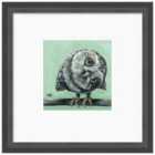 The Art Group Louise Brown (Little Owl) - 30x30cm Framed Art