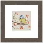 The Art Group Jane Bannon (Bundle Of Mischief) - 30x30cm Framed Art