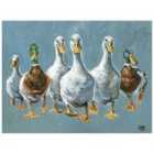The Art Group Louise Brown (Reservoir Ducks) 60x80cm Canvas