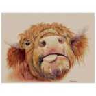 The Art Group Jane Bannon (Baxter) 60x80cm Canvas