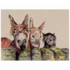 The Art Group Jane Bannon (Johnny, Freckles & Halfpint) 60x80cm Canvas