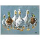 The Art Group Louise Brown (Reservoir Ducks) 30x40cm Canvas