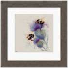 The Art Group Jane Bannon (Bees On Thistle) - 40x40cm Framed Art