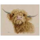 The Art Group Jane Bannon (Donald) 40x50cm Canvas