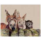 The Art Group Jane Bannon (Johnny, Freckles & Halfpint) 40x50cm Canvas