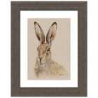 The Art Group Jane Bannon (Tilly) - 30x40cm Framed Art