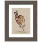 The Art Group Jane Bannon (Holly) - 30x40cm Framed Art