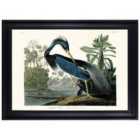 The Art Group John James Audubon (Louisiana Heron) 70x100cm Framed Art
