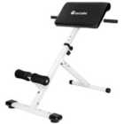 Tectake Back And Abdominal Trainer Coleman (5 Height Adjustable Positions)