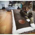 Snug & Cosy Novara Brown Blanket - Large